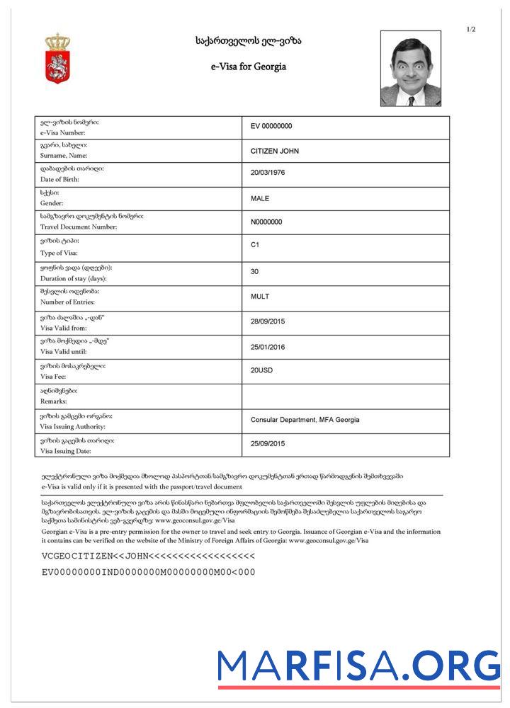 Realistic Georgia e visa download for verification